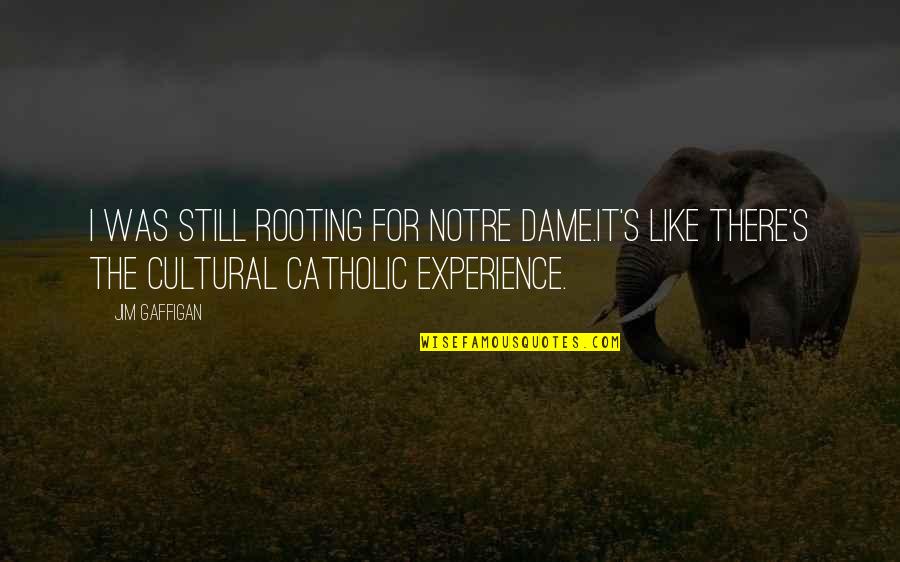 Rooting Quotes By Jim Gaffigan: I was still rooting for Notre Dame.It's like