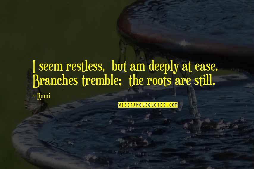 Roots And Branches Quotes By Rumi: I seem restless, but am deeply at ease.