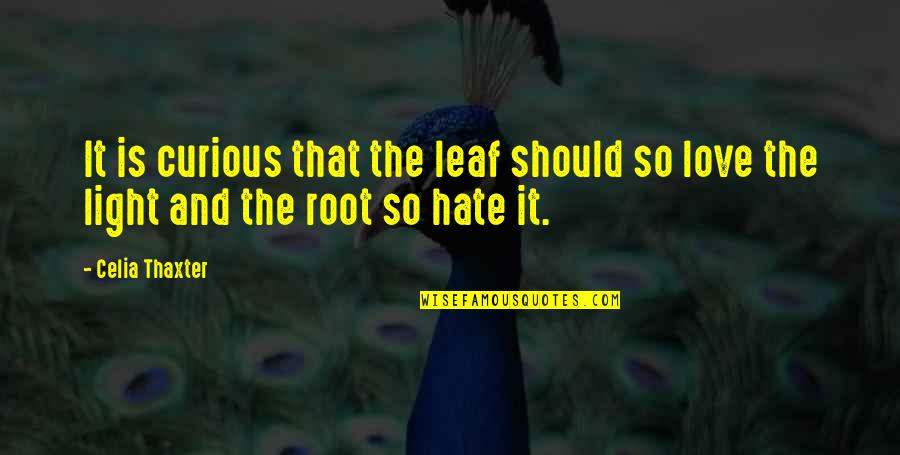 Roots And Love Quotes By Celia Thaxter: It is curious that the leaf should so