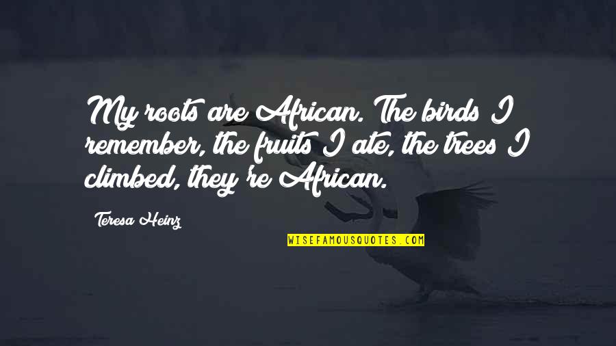 Roots And Trees Quotes By Teresa Heinz: My roots are African. The birds I remember,
