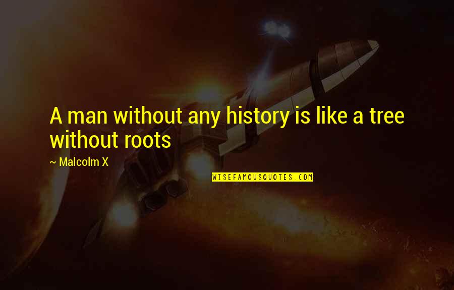 Roots Of A Tree Quotes By Malcolm X: A man without any history is like a