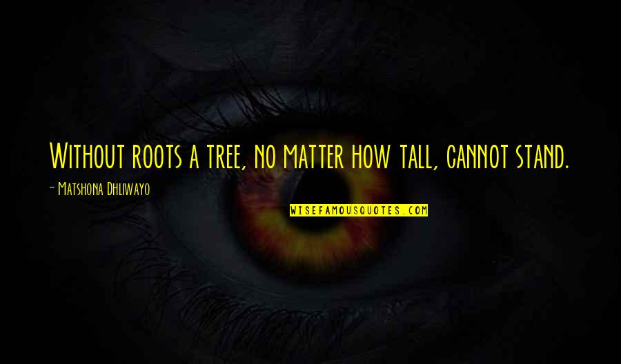 Roots Of A Tree Quotes By Matshona Dhliwayo: Without roots a tree, no matter how tall,