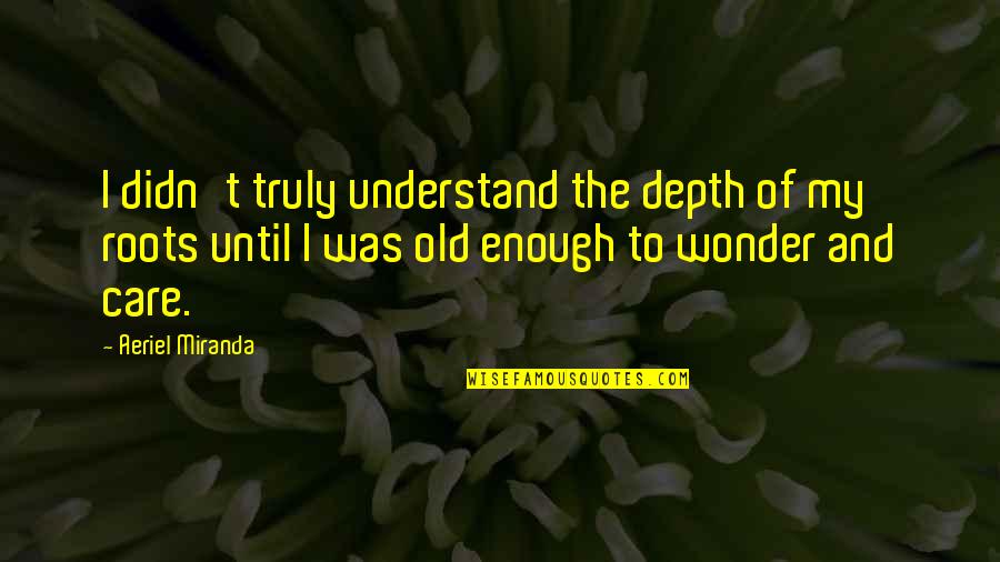 Roots Of Quotes By Aeriel Miranda: I didn't truly understand the depth of my