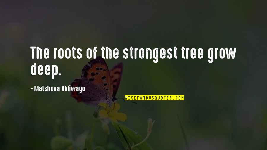 Roots Of Quotes By Matshona Dhliwayo: The roots of the strongest tree grow deep.