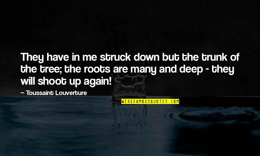 Roots Of Quotes By Toussaint Louverture: They have in me struck down but the