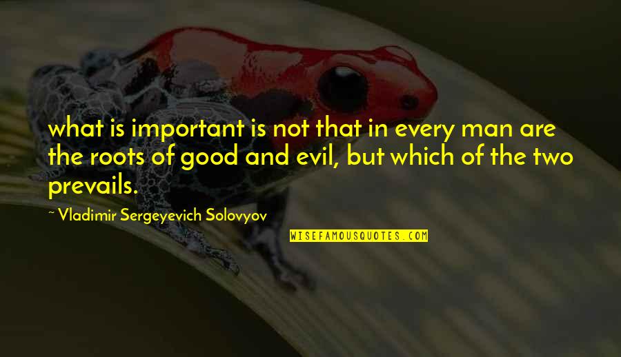 Roots Of Quotes By Vladimir Sergeyevich Solovyov: what is important is not that in every