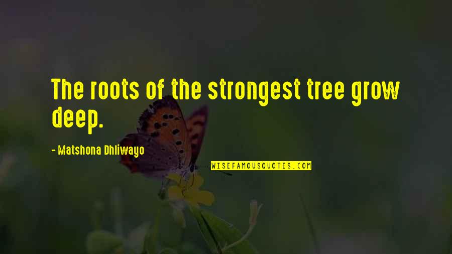 Roots Of Tree Quotes By Matshona Dhliwayo: The roots of the strongest tree grow deep.