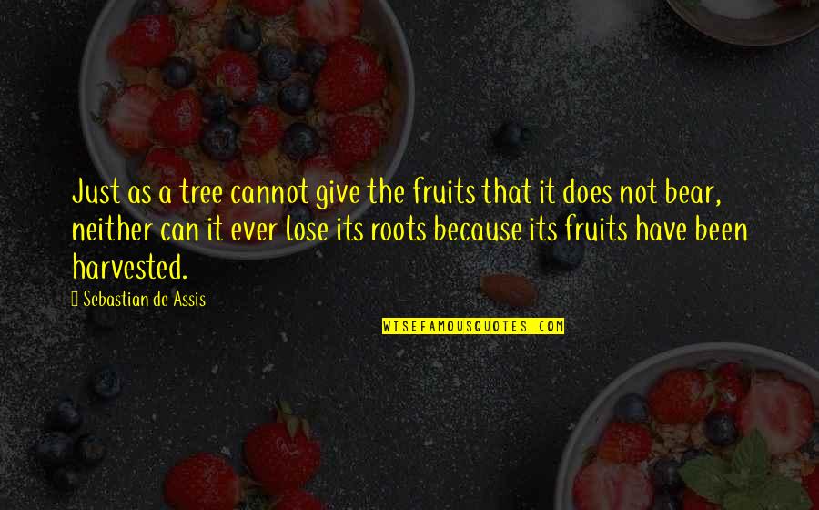 Roots Of Tree Quotes By Sebastian De Assis: Just as a tree cannot give the fruits