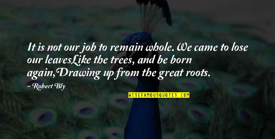 Roots Quotes By Robert Bly: It is not our job to remain whole.We