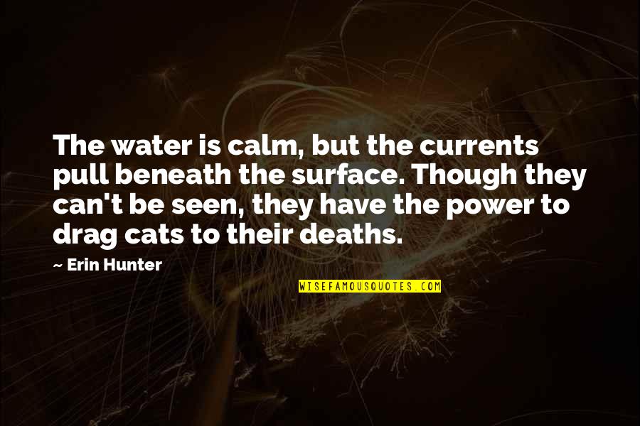 Rooyens Rinke Quotes By Erin Hunter: The water is calm, but the currents pull