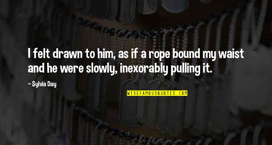 Rope Pulling Quotes By Sylvia Day: I felt drawn to him, as if a