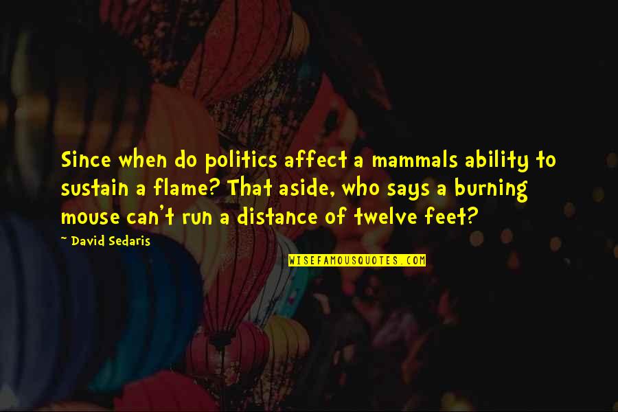 Rorkes Drift Diorama Quotes By David Sedaris: Since when do politics affect a mammals ability