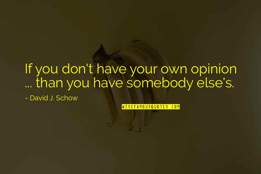 Rosa Clemente Quotes By David J. Schow: If you don't have your own opinion ...