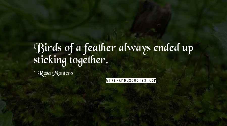 Rosa Montero quotes: Birds of a feather always ended up sticking together.