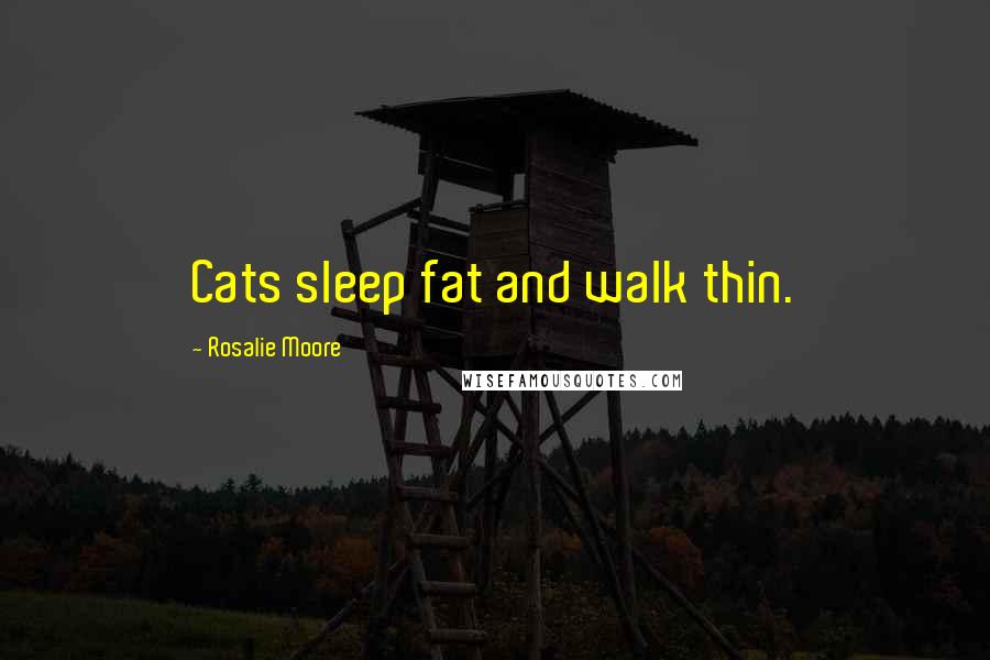 Rosalie Moore quotes: Cats sleep fat and walk thin.