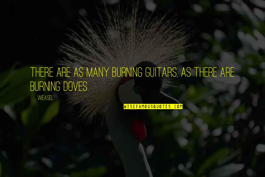 Rosalind G Brewer Quotes By Weasel: There are as many burning guitars, as there