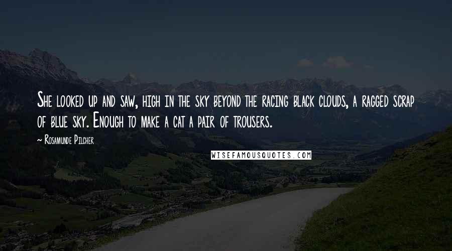 Rosamunde Pilcher quotes: She looked up and saw, high in the sky beyond the racing black clouds, a ragged scrap of blue sky. Enough to make a cat a pair of trousers.