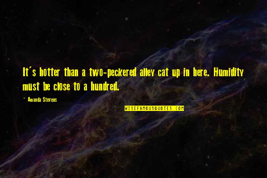 Rosatto Barry Quotes By Amanda Stevens: It's hotter than a two-peckered alley cat up Rosatto Barry Quotes By Amanda Stevens: It's hotter than a two-peckered alley cat up