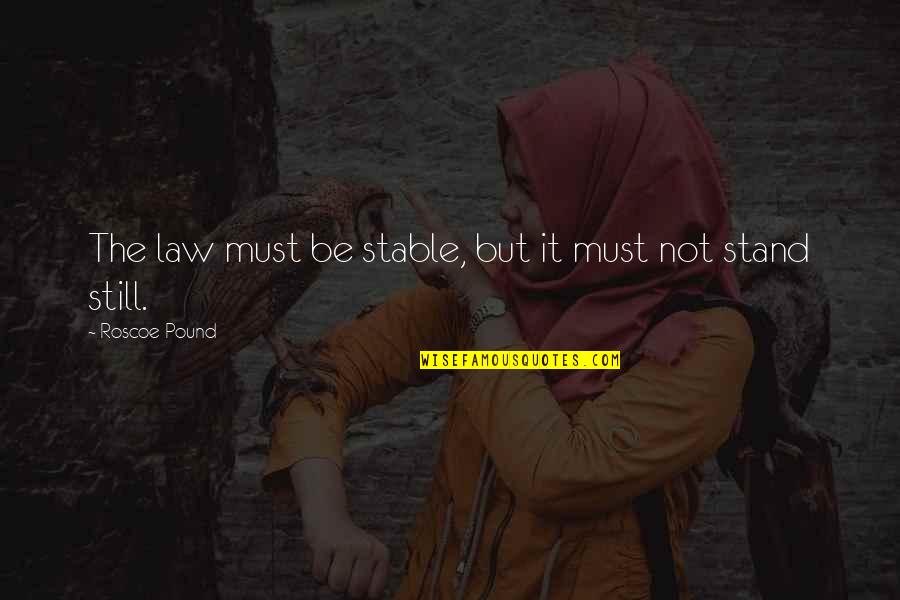 Roscoe's Quotes By Roscoe Pound: The law must be stable, but it must