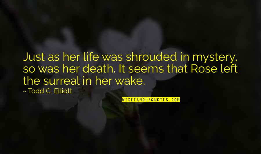 Rose And Death Quotes By Todd C. Elliott: Just as her life was shrouded in mystery,