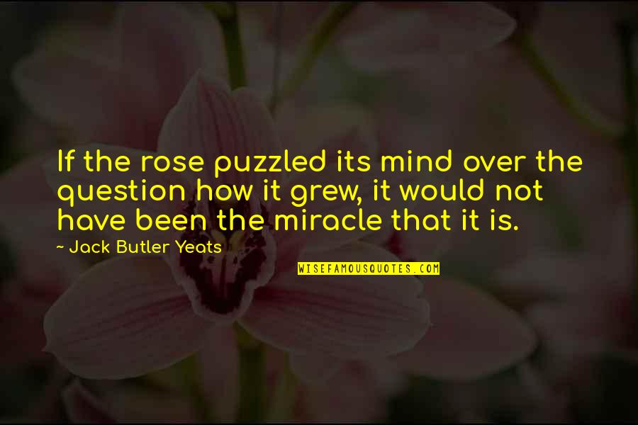 Rose And Jack Quotes By Jack Butler Yeats: If the rose puzzled its mind over the