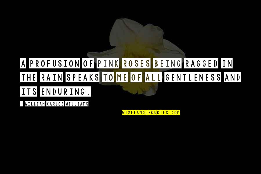 Rose And Rain Quotes By William Carlos Williams: A profusion of pink roses being ragged in Rose And Rain Quotes By William Carlos Williams: A profusion of pink roses being ragged in