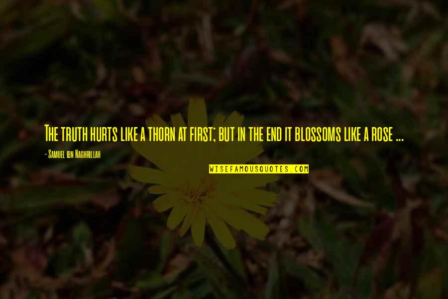 Rose And Truth Quotes By Samuel Ibn Naghrillah: The truth hurts like a thorn at first; Rose And Truth Quotes By Samuel Ibn Naghrillah: The truth hurts like a thorn at first;