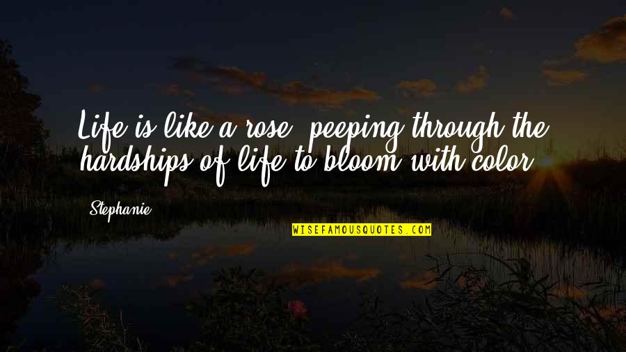 Rose Bloom Quotes By Stephanie: Life is like a rose, peeping through the