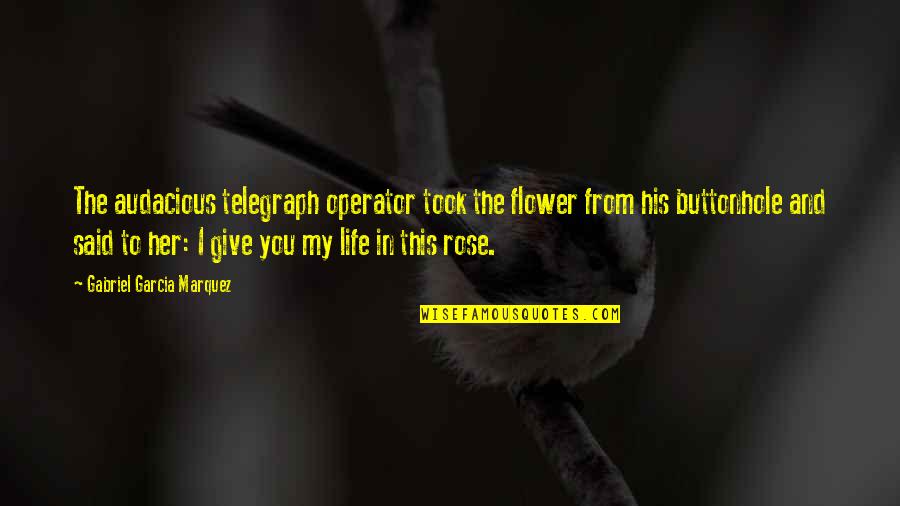 Rose Flower Quotes By Gabriel Garcia Marquez: The audacious telegraph operator took the flower from