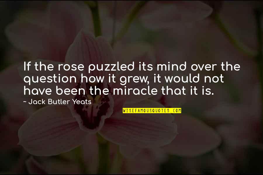 Rose Flower Quotes By Jack Butler Yeats: If the rose puzzled its mind over the