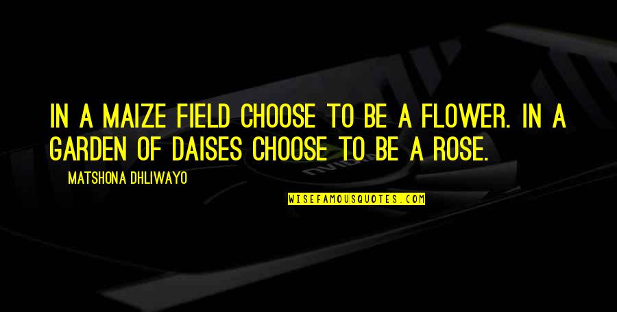 Rose Flower Quotes By Matshona Dhliwayo: In a maize field choose to be a