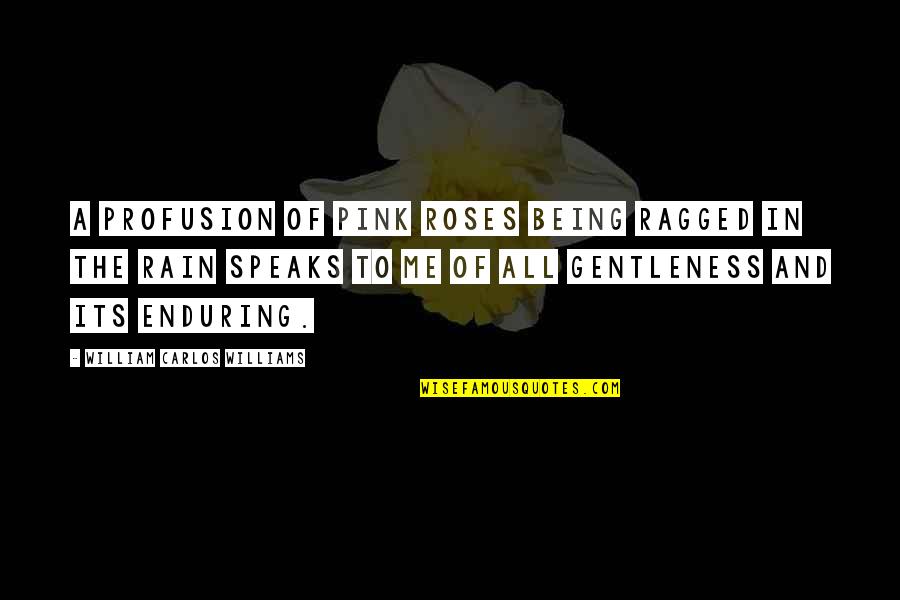 Rose Flower Quotes By William Carlos Williams: A profusion of pink roses being ragged in
