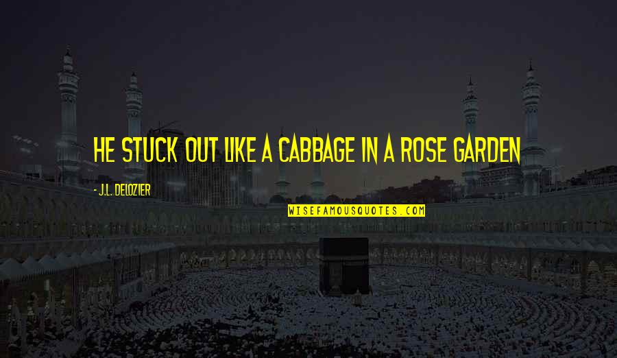 Rose In Garden Quotes By J.L. Delozier: He stuck out like a cabbage in a