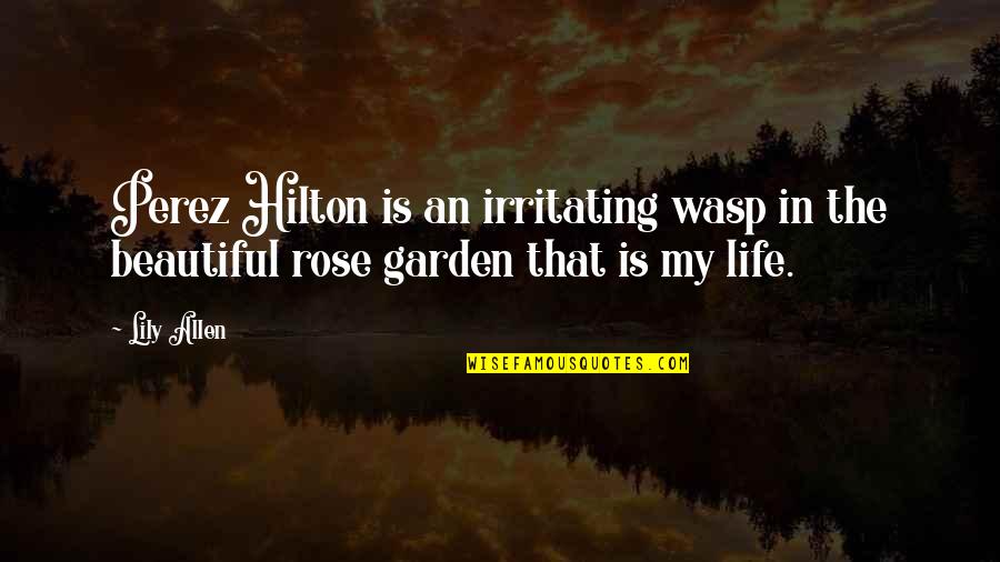 Rose In Garden Quotes By Lily Allen: Perez Hilton is an irritating wasp in the