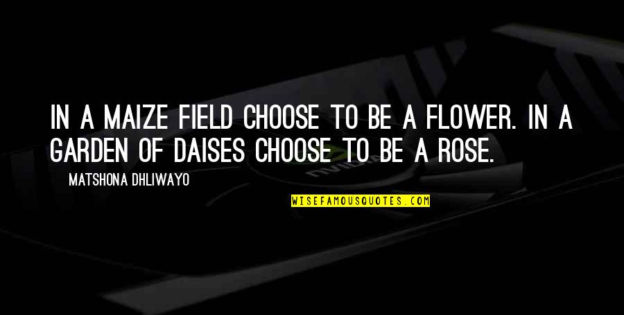 Rose In Garden Quotes By Matshona Dhliwayo: In a maize field choose to be a