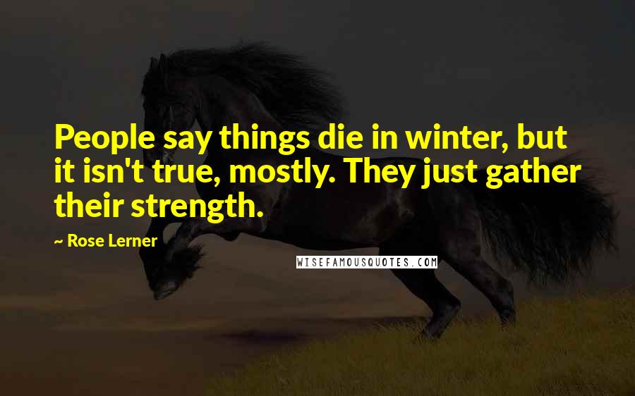 Rose Lerner quotes: People say things die in winter, but it isn't true, mostly. They just gather their strength.