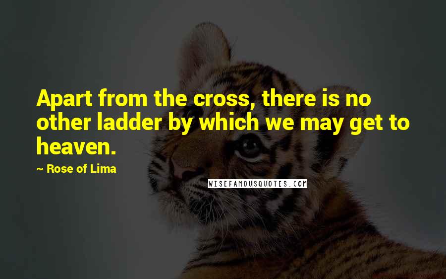 Rose Of Lima quotes: Apart from the cross, there is no other ladder by which we may get to heaven.