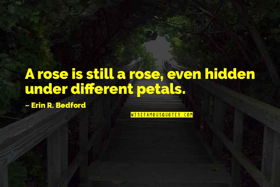 Rose Petals Quotes By Erin R. Bedford: A rose is still a rose, even hidden