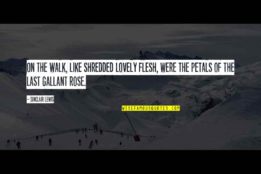 Rose Petals Quotes By Sinclair Lewis: On the walk, like shredded lovely flesh, were