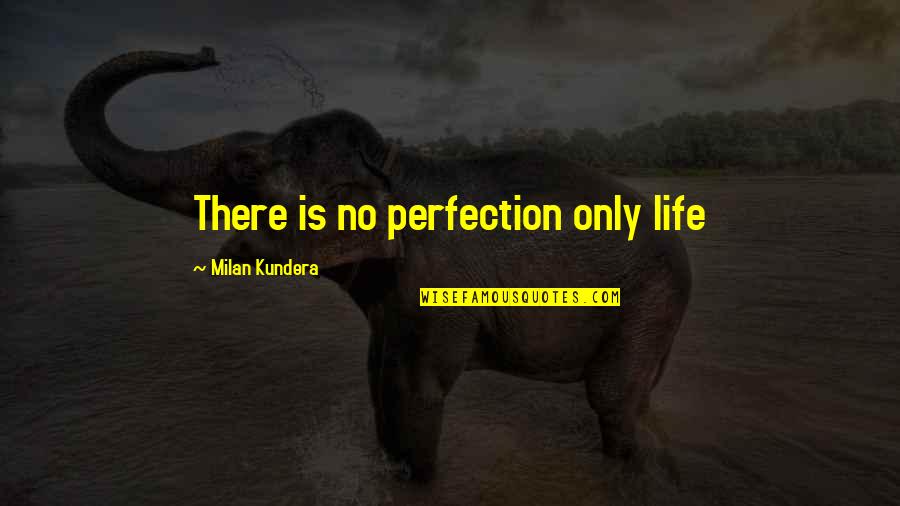 Rose Tyler Inspirational Quotes By Milan Kundera: There is no perfection only life