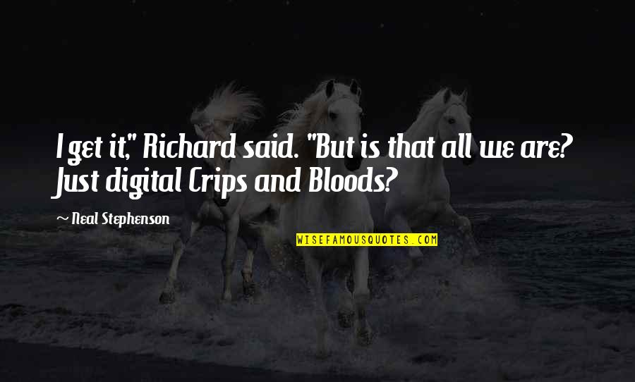 Rose Wine Lisa Vanderpump Quotes By Neal Stephenson: I get it," Richard said. "But is that