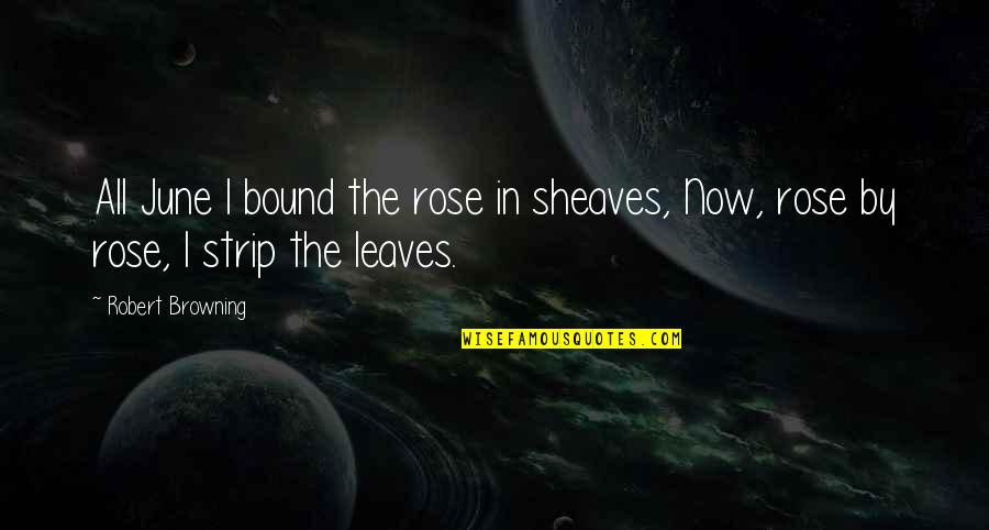 Rose With Leaves Quotes By Robert Browning: All June I bound the rose in sheaves,