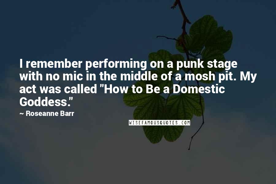 Roseanne Barr quotes: I remember performing on a punk stage with no mic in the middle of a mosh pit. My act was called "How to Be a Domestic Goddess."