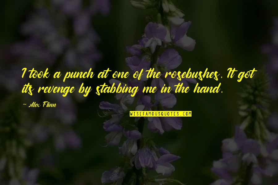 Rosebushes Quotes By Alex Flinn: I took a punch at one of the