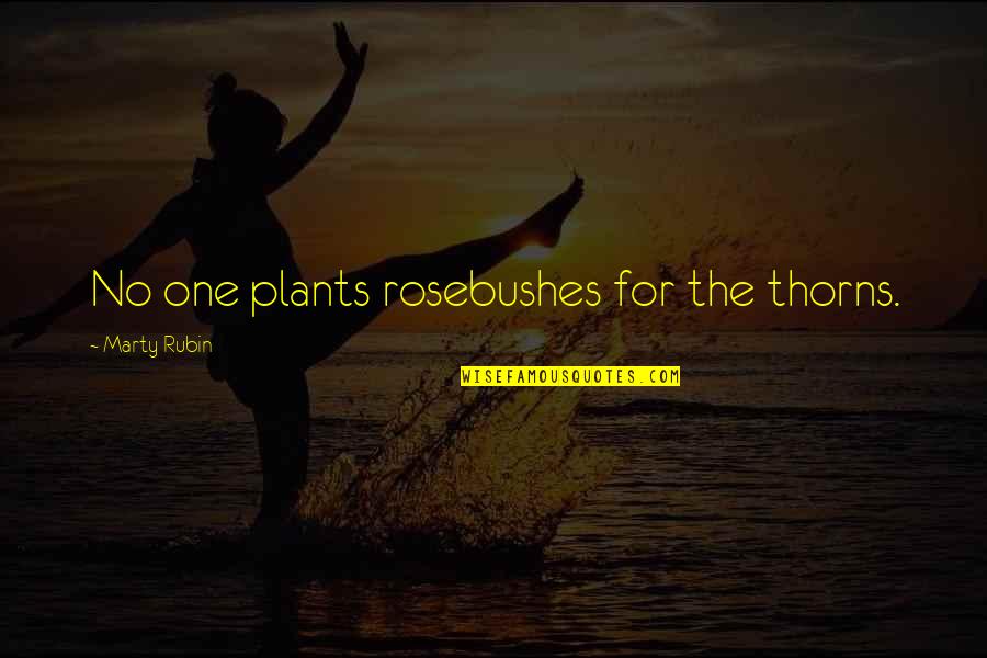 Rosebushes Quotes By Marty Rubin: No one plants rosebushes for the thorns.