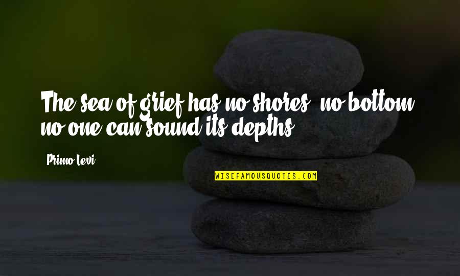 Rosedell Quotes By Primo Levi: The sea of grief has no shores, no