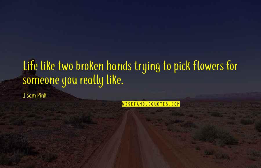 Roseggo Quotes By Sam Pink: Life like two broken hands trying to pick
