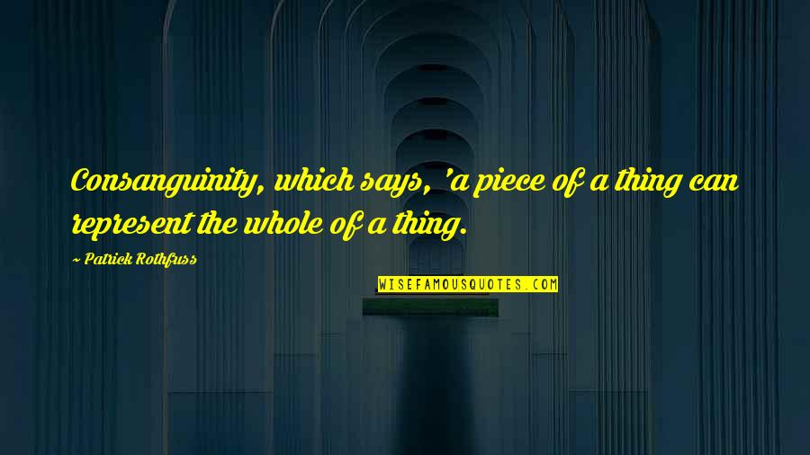 Roselius Fice Quotes By Patrick Rothfuss: Consanguinity, which says, 'a piece of a thing