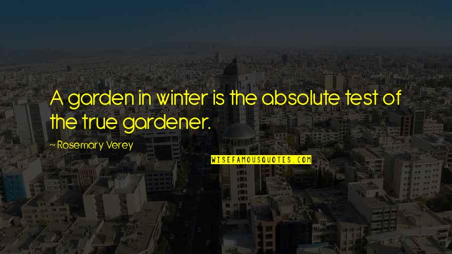 Rosemary Quotes By Rosemary Verey: A garden in winter is the absolute test