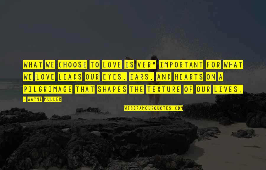 Rosemine Ocean Quotes By Wayne Muller: What we choose to love is very important